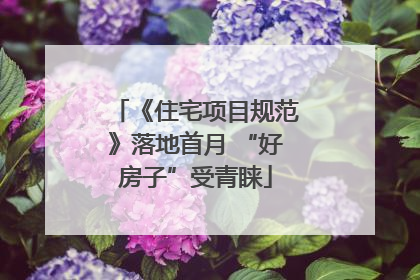 《住宅项目规范》落地首月 “好房子”受青睐