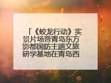 《蛟龙行动》实景片场暨青岛东方影都国防主题文旅研学基地在青岛西海岸新区开业