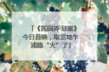 《酱园弄·悬案》今日首映，取景地乍浦路“火”了