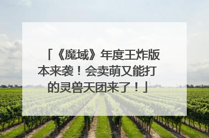 《魔域》年度王炸版本来袭！会卖萌又能打的灵兽天团来了！