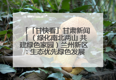 「甘快看」甘肃新闻丨（绿化南北两山 共建绿色家园）兰州新区：生态优先绿色发展 打造生态环保示范区