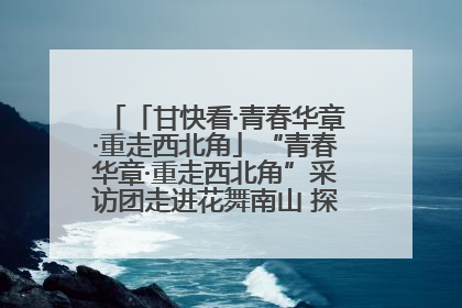 「甘快看·青春华章·重走西北角」“青春华章·重走西北角”采访团走进花舞南山 探寻天水乡村振兴之路