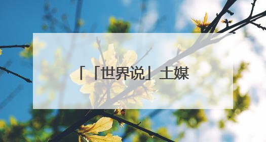 「世界说」土媒：美国关税决策摇摆不定 全球不确定性持续攀升