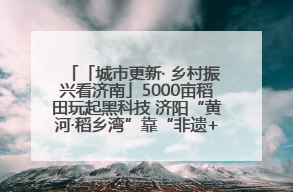 「城市更新· 乡村振兴看济南」5000亩稻田玩起黑科技 济阳“黄河·稻乡湾”靠“非遗+露营”火出圈