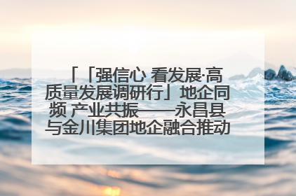「强信心 看发展·高质量发展调研行」地企同频 产业共振——永昌县与金川集团地企融合推动重大项目建设