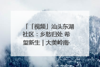 「视频」汕头东湖社区：乡愁归处 希望新生｜大美岭南·百村焕新记