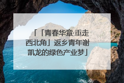「青春华章·重走西北角」返乡青年谢凯龙的绿色产业梦