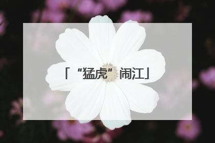“猛虎”闹江