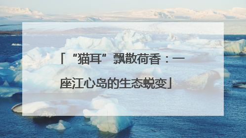 “猫耳”飘散荷香：一座江心岛的生态蜕变