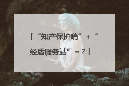 “知产保护哨”+“经盾服务站”=？