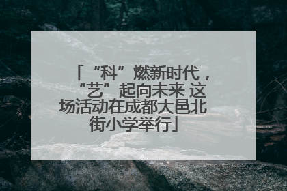 “科”燃新时代，“艺”起向未来 这场活动在成都大邑北街小学举行