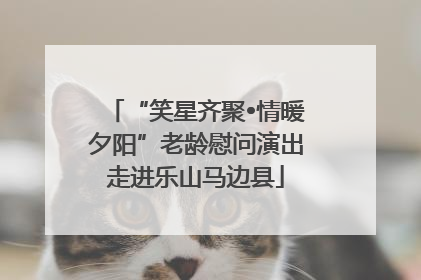 “笑星齐聚•情暖夕阳”老龄慰问演出走进乐山马边县