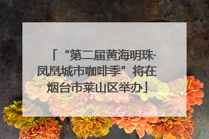 “第二届黄海明珠·凤凰城市咖啡季”将在烟台市莱山区举办