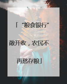 “粮食银行”敞开收，农民不再愁存粮