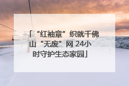 “红袖章”织就千佛山“无废”网 24小时守护生态家园