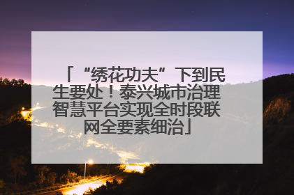 “绣花功夫”下到民生要处！泰兴城市治理智慧平台实现全时段联网全要素细治