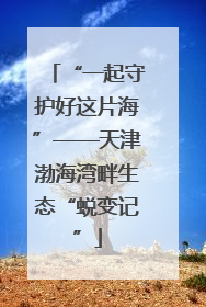 “一起守护好这片海”——天津渤海湾畔生态“蜕变记”