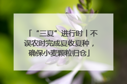 “三夏”进行时丨不误农时完成夏收夏种，确保小麦颗粒归仓