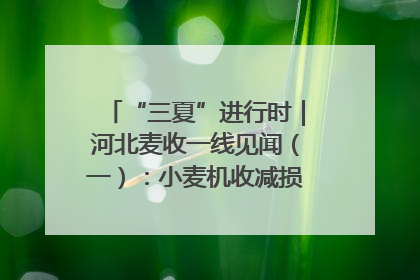 “三夏”进行时｜河北麦收一线见闻（一）：小麦机收减损“竞技” 农机高手麦田“过招”
