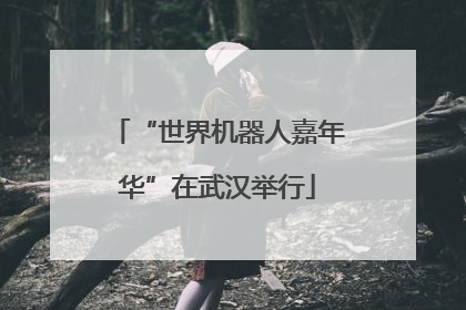 “世界机器人嘉年华”在武汉举行