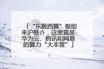 “东数西算”枢纽来沪推介，这里竟是华为云、腾讯和网易的算力“大本营”