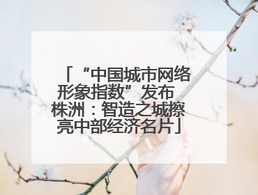 “中国城市网络形象指数”发布 株洲：智造之城擦亮中部经济名片