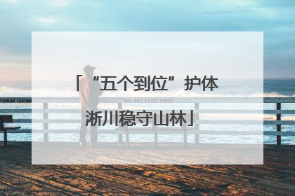 “五个到位”护体 淅川稳守山林