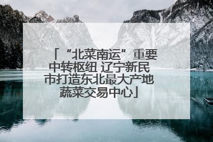 “北菜南运”重要中转枢纽 辽宁新民市打造东北最大产地蔬菜交易中心
