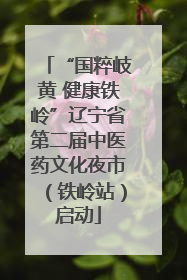 “国粹岐黄 健康铁岭”辽宁省第二届中医药文化夜市（铁岭站）启动