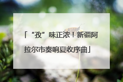 “孜”味正浓！新疆阿拉尔市奏响夏收序曲