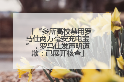 “多所高校禁用罗马仕两万毫安充电宝”，罗马仕发声明道歉：已展开核查