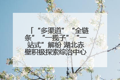 “多渠道”“全链条”“一揽子”“一站式”解纷 湖北赤壁积极探索综治中心规范化建设新路子