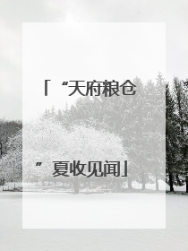 “天府粮仓”夏收见闻