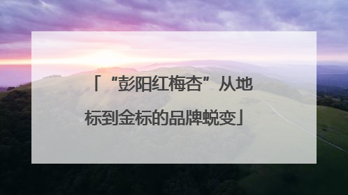 “彭阳红梅杏”从地标到金标的品牌蜕变