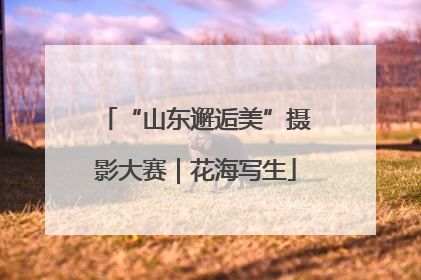 “山东邂逅美”摄影大赛｜花海写生