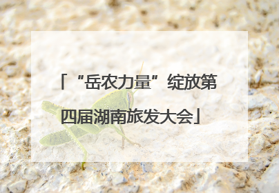 “岳农力量”绽放第四届湖南旅发大会