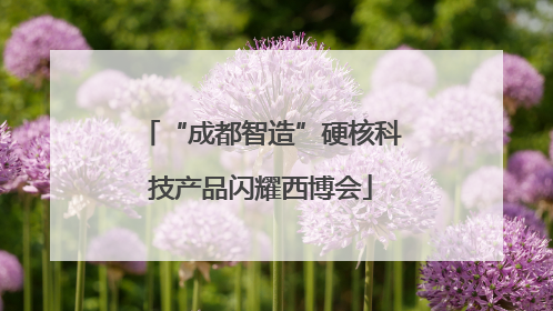 “成都智造”硬核科技产品闪耀西博会