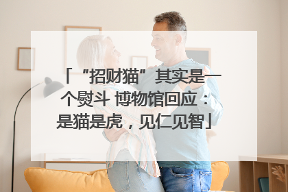 “招财猫”其实是一个熨斗 博物馆回应：是猫是虎，见仁见智