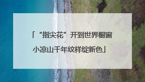“指尖花”开到世界橱窗 小凉山千年纹样绽新色