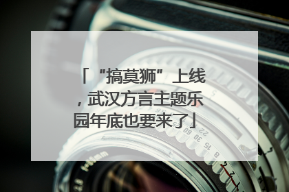 “搞莫狮”上线，武汉方言主题乐园年底也要来了