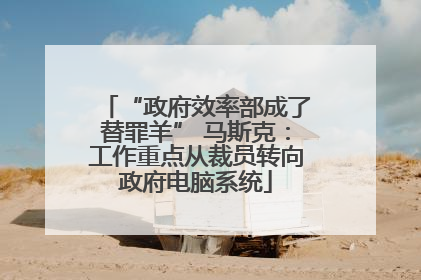 “政府效率部成了替罪羊” 马斯克：工作重点从裁员转向政府电脑系统