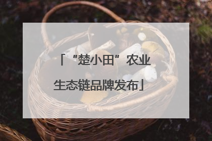 “楚小田”农业生态链品牌发布