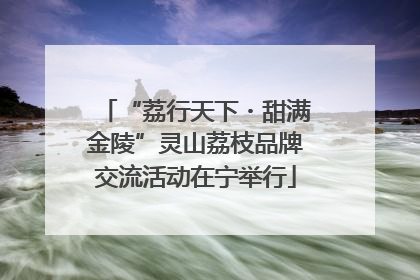 “荔行天下・甜满金陵”灵山荔枝品牌交流活动在宁举行