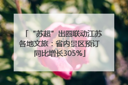 “苏超”出圈联动江苏各地文旅：省内景区预订同比增长305%