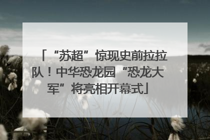 “苏超”惊现史前拉拉队！中华恐龙园“恐龙大军”将亮相开幕式