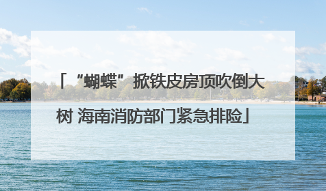 “蝴蝶”掀铁皮房顶吹倒大树 海南消防部门紧急排险