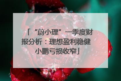 “蔚小理”一季度财报分析：理想盈利稳健 小鹏亏损收窄