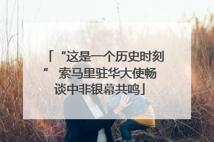 “这是一个历史时刻” 索马里驻华大使畅谈中非银幕共鸣