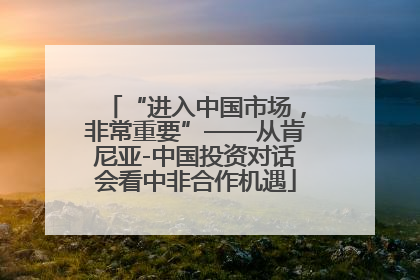 “进入中国市场，非常重要”——从肯尼亚-中国投资对话会看中非合作机遇