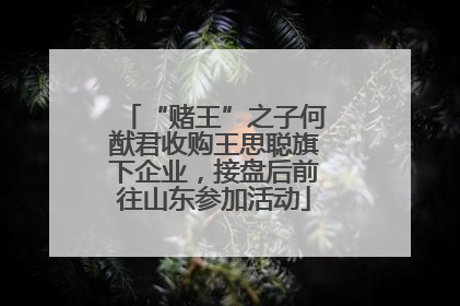 “赌王”之子何猷君收购王思聪旗下企业，接盘后前往山东参加活动